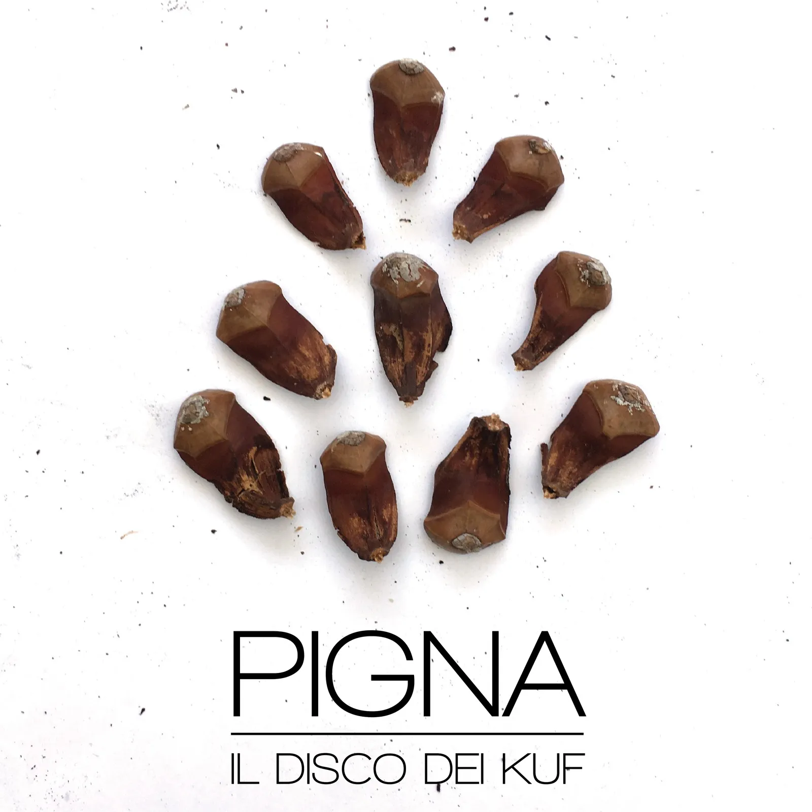 Copertina di Pigna, nove pinoli disposti a forma di pigna su carta bianca, con il titolo PIGNA, il disco dei Kuf